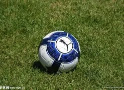 开云平台官,方网切尔西,赞助商,开云体育,开云体育官网,开云体育app,开云体育平台,KAIYUN,SPORTS,kaiyun登录入口