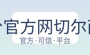 开云平台官方网切尔西赞助商 配图