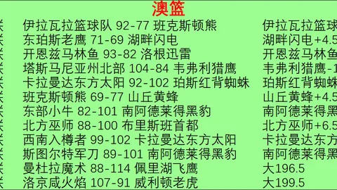 开云平台官方网切尔西赞助商 123055
