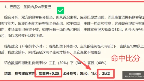 开云平台官方网切，开云体育娱乐，尔西赞助商 125724 48