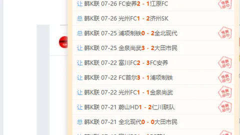 开云平台官方网切，开云体育娱乐，尔西赞助商 132009 3