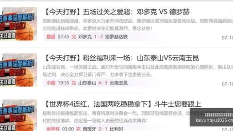 开云平台官方网切，开云合作，尔西赞助商 132243 4
